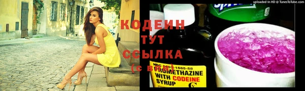 ГАЛЛЮЦИНОГЕННЫЕ ГРИБЫ Алзамай