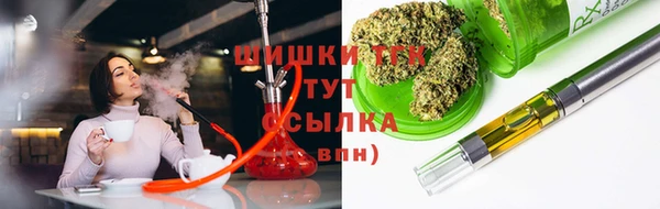 ГАЛЛЮЦИНОГЕННЫЕ ГРИБЫ Алзамай