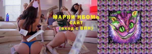 ГАЛЛЮЦИНОГЕННЫЕ ГРИБЫ Алзамай