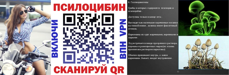 Галлюциногенные грибы мухоморы  Купить закладки  Новая Усмань 